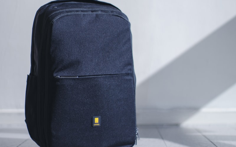 The Best Everyday Backpacks for Work and Travel